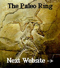 The Paleo Ring's Next Website