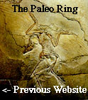 The Paleo Ring's Previous
Website